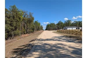 SW 81ST ST, DUNNELLON, FL 34432 - MLS#MFROM719369