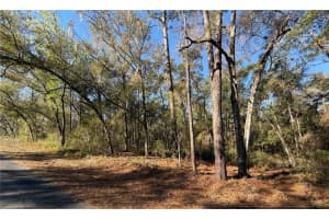 5230 ROBERT BLAKE AVENUE, INVERNESS, FL 34452 - MLS#MFROM719418