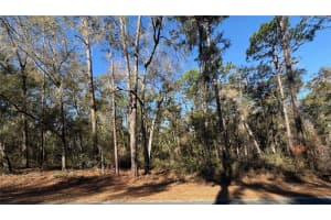 5230 ROBERT BLAKE AVENUE, INVERNESS, FL 34452 - MLS#MFROM719418