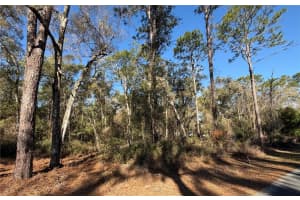 5230 ROBERT BLAKE AVENUE, INVERNESS, FL 34452 - MLS#MFROM719418