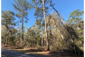 5230 ROBERT BLAKE AVENUE, INVERNESS, FL 34452 - MLS#MFROM719418