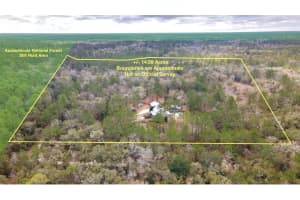 210 TUCKER SPRINGS ROAD, SOPCHOPPY, FL 32358 - MLS#MFROM719437