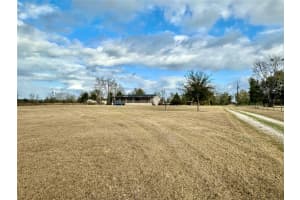 237 BARON GLEN, FORT WHITE, FL 32038 - MLS#MFROM719438