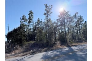 0 SW EDGEWATER BLVD, DUNNELLON, FL 34431 - MLS#MFROM719450