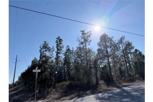 0 SW EDGEWATER BLVD, DUNNELLON, FL 34431 - MLS#MFROM719450