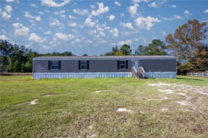 6170 220TH AVENUE, MORRISTON, FL 32668 - MLS#MFROM719460