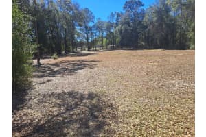 00 55TH STREET, OCALA, FL 34472 - MLS#MFROM719472