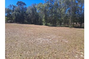 00 55TH STREET, OCALA, FL 34472 - MLS#MFROM719472