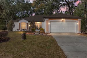 19421 100TH LOOP, DUNNELLON, FL 34432 - MLS#MFROM719480