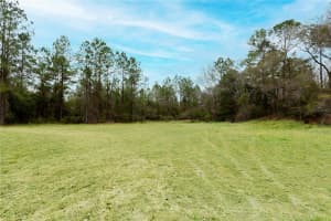 11602 NE US HIGHWAY 301, WALDO, FL 32694 - MLS#MFROM719508