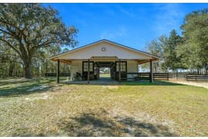 6655 145TH AVENUE ROAD, MORRISTON, FL 32668 - MLS#MFROM719513