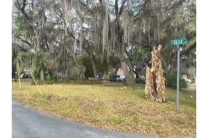 4734 APACHE TRAIL, HERNANDO, FL 34442 - MLS#MFROM719551