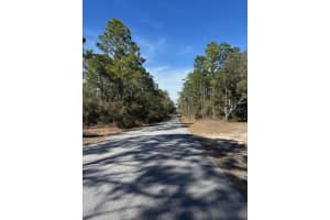 TBA 207 COURT, DUNNELLON, FL 34431 - MLS#MFROM719575