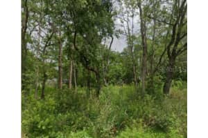 5728 ELAINE DRIVE, ZEPHYRHILLS, FL 33541 - MLS#MFROM719591