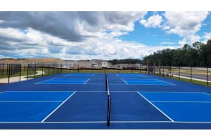 15925 101ST CIRCLE, SUMMERFIELD, FL 34491 - MLS#MFROM719606