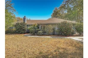 15271 24TH STREET ROAD, OCKLAWAHA, FL 32179 - MLS#MFROM719662