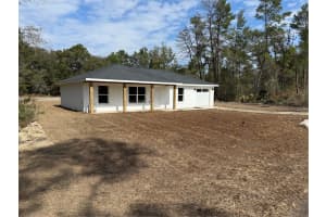 13 BAY TRACK, OCKLAWAHA, FL 32179 - MLS#MFROM719684