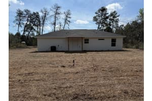 13 BAY TRACK, OCKLAWAHA, FL 32179 - MLS#MFROM719684