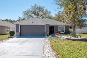 2309 Angel Fish Loop, LEESBURG