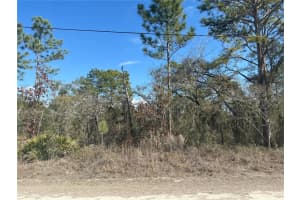 11072 HYDE STREET, WEEKI WACHEE, FL 34614 - MLS#MFROM719714