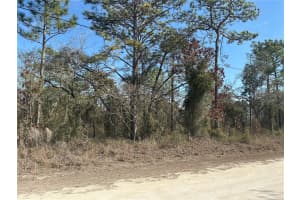 11072 HYDE STREET, WEEKI WACHEE, FL 34614 - MLS#MFROM719714