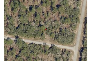 Lot 10 FIG TREE LANE, DUNNELLON, FL 34431 - MLS#MFROM719725