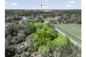 7368 14TH STREET, OCALA, FL 34482 - MLS#MFROM719749