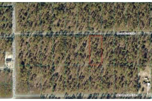 Lot 7 HEMLOCK AVENUE, DUNNELLON, FL 34431 - MLS#MFROM719766