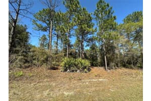 833 CHAMPLAIN LANE, CITRUS SPRINGS, FL 34434 - MLS#MFROM719810