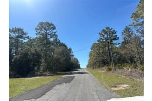 833 CHAMPLAIN LANE, CITRUS SPRINGS, FL 34434 - MLS#MFROM719810