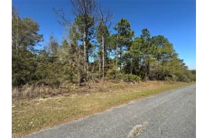 833 CHAMPLAIN LANE, CITRUS SPRINGS, FL 34434 - MLS#MFROM719810