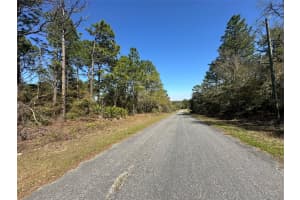 833 CHAMPLAIN LANE, CITRUS SPRINGS, FL 34434 - MLS#MFROM719810