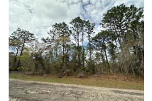 1639 PENDLETON STREET, DUNNELLON, FL 34434 - MLS#MFROM719812