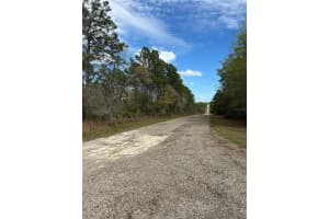 1639 PENDLETON STREET, DUNNELLON, FL 34434 - MLS#MFROM719812