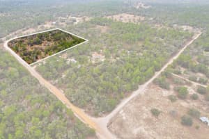 6199 PEKING COURT, DUNNELLON, FL 34433 - MLS#MFROM719818