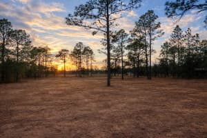 6 LOMBARDY LANE, DUNNELLON, FL 34431 - MLS#MFROM719826