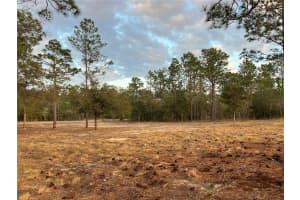 6 LOMBARDY LANE, DUNNELLON, FL 34431 - MLS#MFROM719826