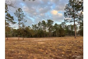 6 LOMBARDY LANE, DUNNELLON, FL 34431 - MLS#MFROM719826