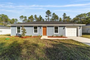 3250 147TH LANE, SUMMERFIELD, FL 34491 - MLS#MFROM719834