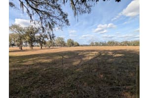 NE 36TH ST, OCALA, FL 34479 - MLS#MFROM719848