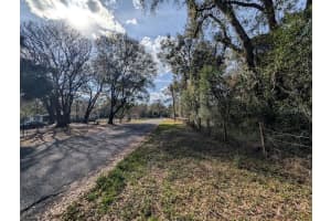 NE 36TH ST, OCALA, FL 34479 - MLS#MFROM719848