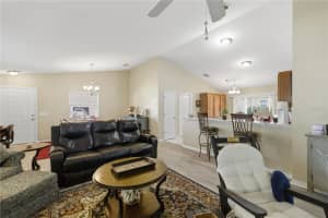 1972 ASHWOOD RUN, THE VILLAGES, FL 32162 - MLS#MFROM719850