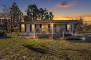 14430 LEVY STREET, WILLISTON, FL 32696 - MLS#MFROM719872