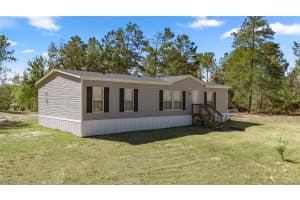 14650 6TH LANE, WILLISTON, FL 32696 - MLS#MFROM719875