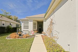 13280 92ND COURT ROAD, SUMMERFIELD, FL 34491 - MLS#MFROM719888