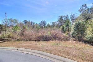 TBD 41ST STREET, OCALA, FL 34480 - MLS#MFROM719915