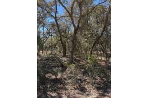 TBA SE 132ND COURT COURT, DUNNELLON, FL 34431 - MLS#MFROM719980