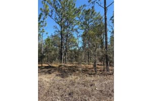 TBA 135TH COURT, DUNNELLON, FL 34431 - MLS#MFROM719982