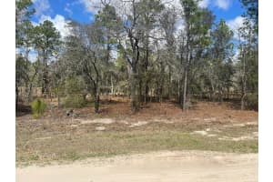 MLS# MFROM720009, Ocala, Florida 34481
