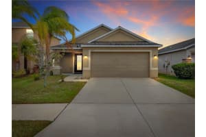 1909 HAWKS VIEW DRIVE, RUSKIN, FL 33570 - MLS#MFROM720023